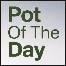 Pot of the Day- coming soon